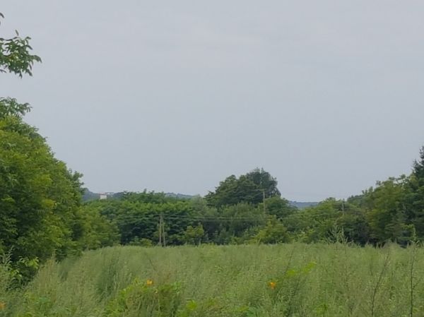 Image 1 Title